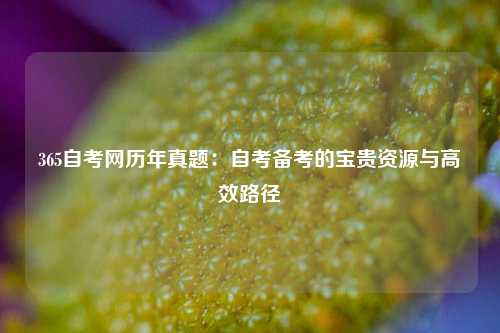 365自考网历年真题：自考备考的宝贵资源与高效路径