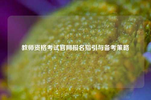 教师资格考试官网报名指引与备考策略